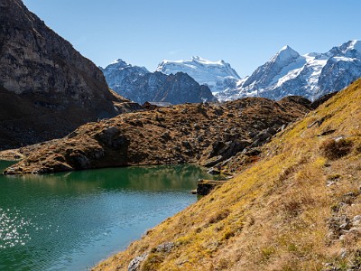 DCLDLUX8-20251011-1001730