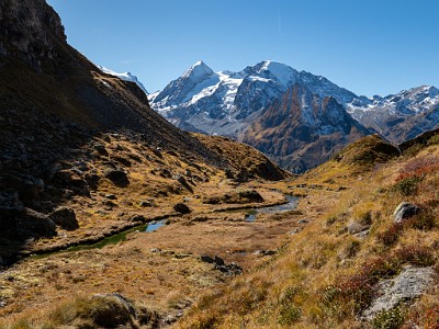 DCLDLUX8-20251011-1001732