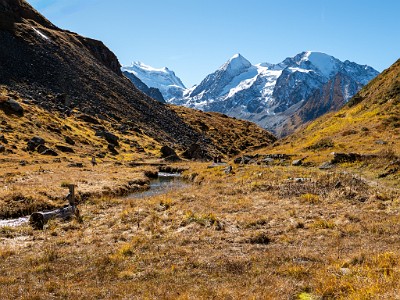 DCLDLUX8-20251011-1001733