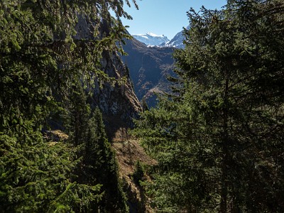 DCLDLUX8-20251011-1001739