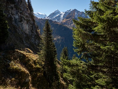 DCLDLUX8-20251011-1001740