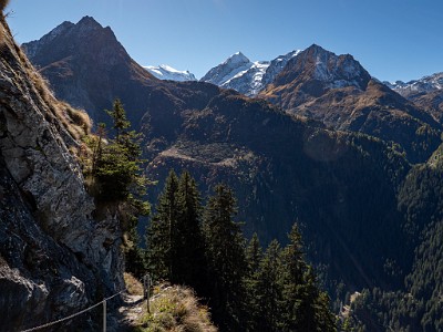 DCLDLUX8-20251011-1001742