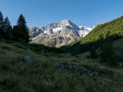 DCLDLUX8-20250826-1001052