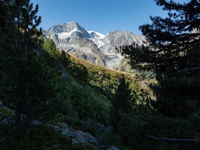 DCLDLUX8-20250826-1001063