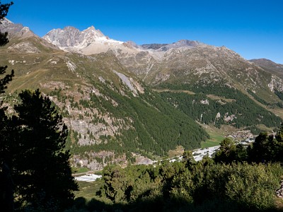 DCLDLUX8-20250826-1001065