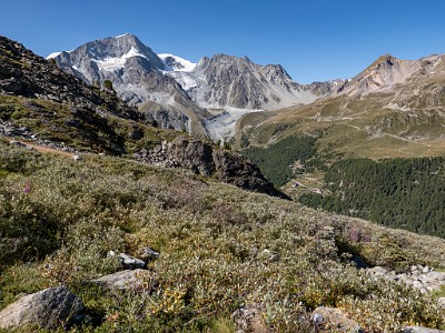 DCLDLUX8-20250826-1001070