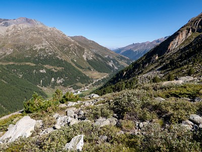 DCLDLUX8-20250826-1001071