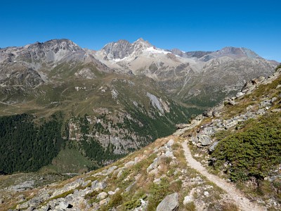 DCLDLUX8-20250826-1001074