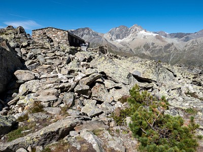 DCLDLUX8-20250826-1001079