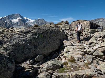 DCLDLUX8-20250826-1001081