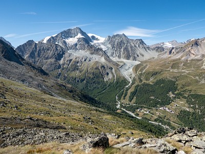 DCLDLUX8-20250826-1001090