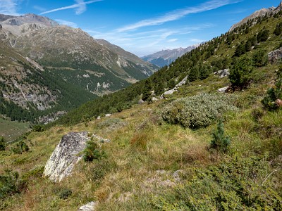 DCLDLUX8-20250826-1001093