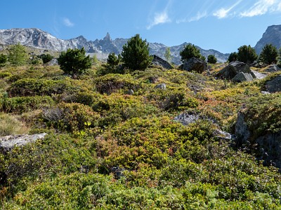 DCLDLUX8-20250826-1001095