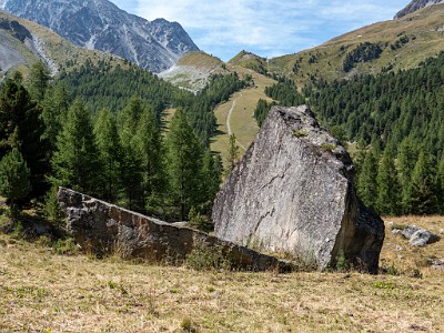 DCLDLUX8-20250826-1001098