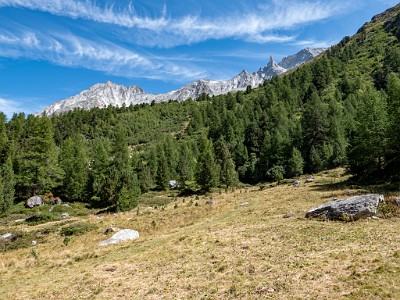 DCLDLUX8-20250826-1001099