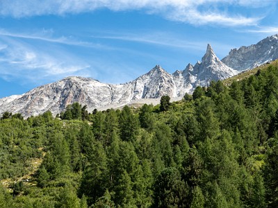 DCLDLUX8-20250826-1001101