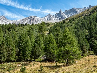 DCLDLUX8-20250826-1001104