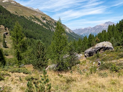 DCLDLUX8-20250826-1001105