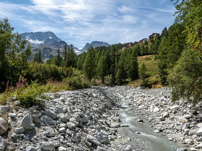 DCLDLUX8-20250826-1001106