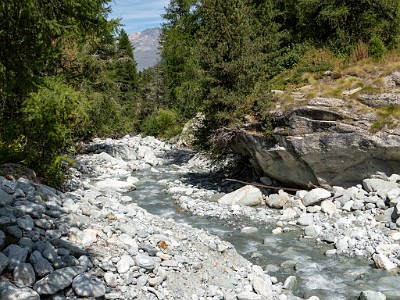 DCLDLUX8-20250826-1001107