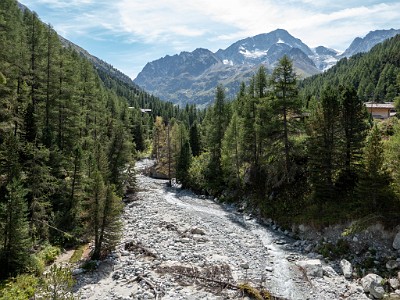 DCLDLUX8-20250826-1001112