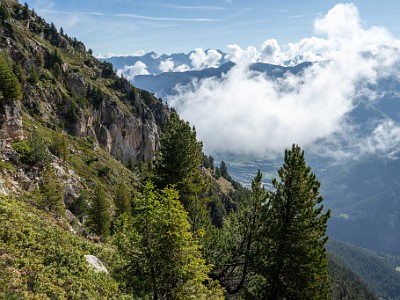 DCCG1X-20250803-1520