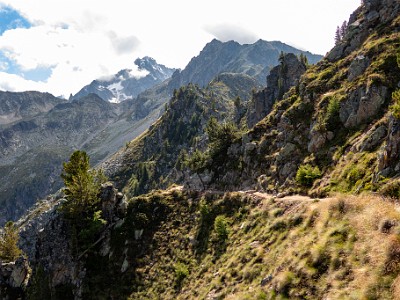 DCCG1X-20250803-1597