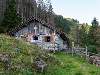 DCLDLUX8-20250815-1000889