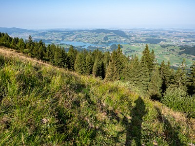 DCLDLUX8-20250815-1000890