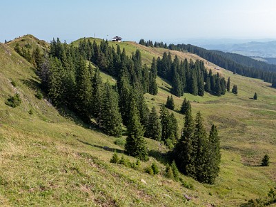 DCLDLUX8-20250815-1000892