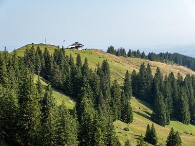 DCLDLUX8-20250815-1000893