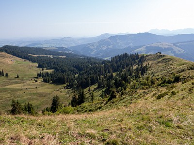 DCLDLUX8-20250815-1000895