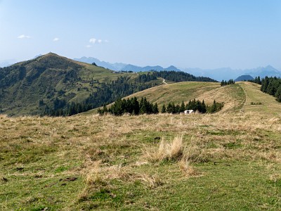 DCLDLUX8-20250815-1000896