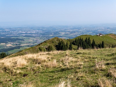 DCLDLUX8-20250815-1000901