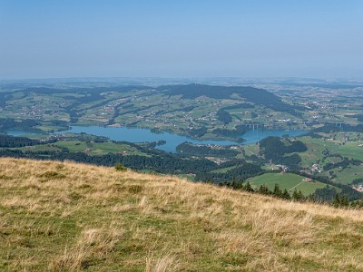 DCLDLUX8-20250815-1000902