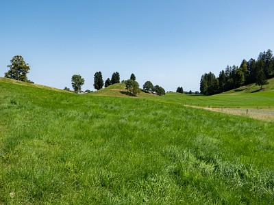 DCLDLUX8-20250815-1000903