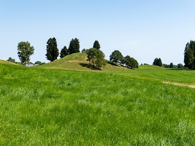 DCLDLUX8-20250815-1000904