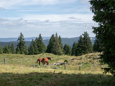 DCCG1X-20250716-1379