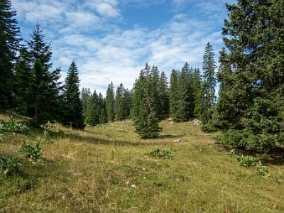 DCCG1X-20250716-1380