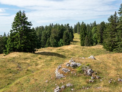 DCCG1X-20250716-1382