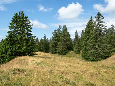 DCCG1X-20250716-1388