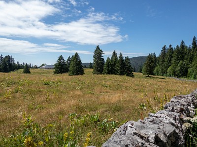 DCCG1X-20250716-1392