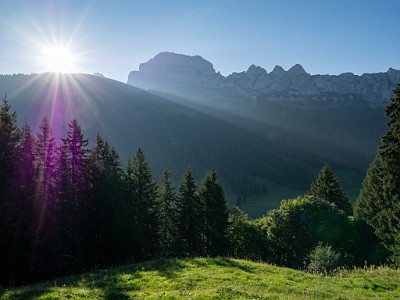 DCLDLUX8-20250818-1000911