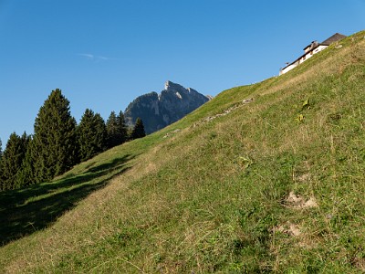 DCLDLUX8-20250818-1000912