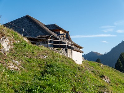 DCLDLUX8-20250818-1000916