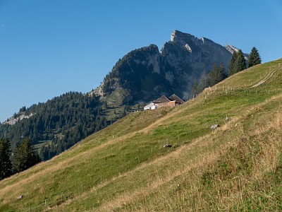 DCLDLUX8-20250818-1000919