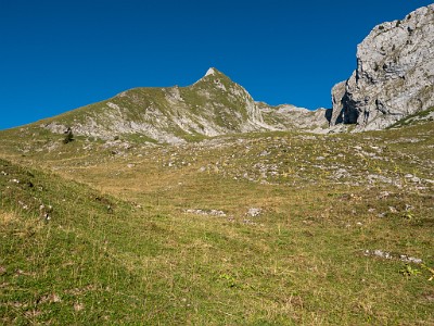 DCLDLUX8-20250818-1000922