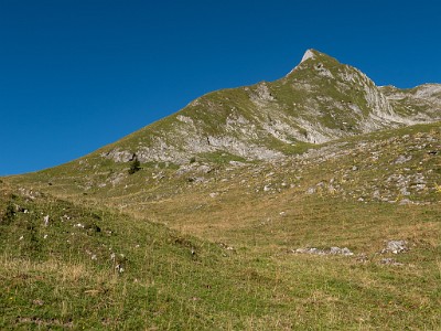 DCLDLUX8-20250818-1000923