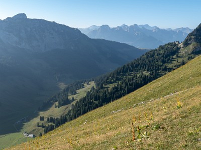 DCLDLUX8-20250818-1000924