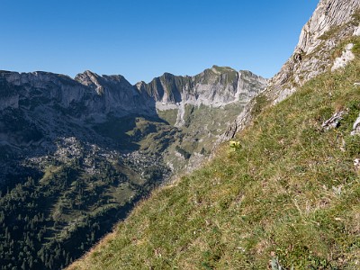 DCLDLUX8-20250818-1000930